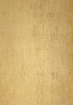 Anna French Birch Cork AT1402