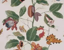 Boussac Nakai W4864001