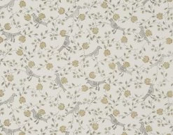 Braquenie Bengali BP203001