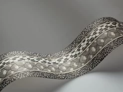 Cole And Son Ardmore Border 109/5025 -Trendy Wanddecoratie Wereld cole and son cole and son ardmore border 109 5025 2