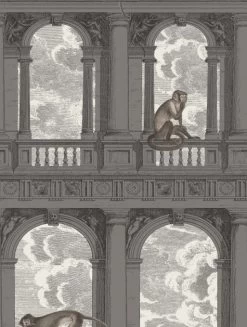 Cole And Son Procuratie Con Vista 114/8016