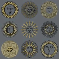 Cole And Son Soli - 123/1004