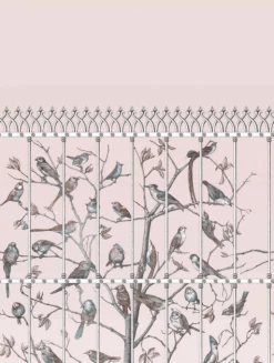 Cole And Son Uccelli 114/11022