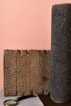 Coral 106/5076 7 Coral 106/5076 -Trendy Wanddecoratie Wereld cole and son coral 106 5076 2