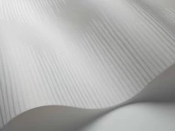 Plume 107/3013 6 Plume 107/3013 -Trendy Wanddecoratie Wereld cole and son plume 107 3013 1