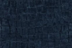 Elitis Anguille Big Croco Galuchat Big Croco VP42329