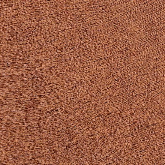 Elitis Indomptée Movida VP62542 3 Elitis Indomptée Movida VP62542