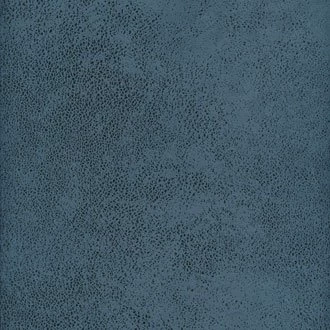 Elitis Vintage Leather RM79045 3 Elitis Vintage Leather RM79045