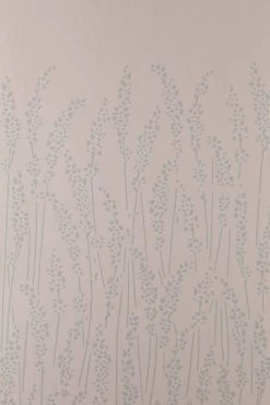 Feather Grass BP5103