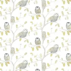 Harlequin Little Owls - 112627