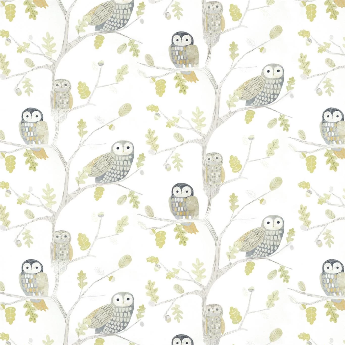 Harlequin Little Owls - 112627 3 Harlequin Little Owls - 112627