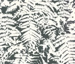 Little Greene Fern Off Black - 0280FEOFFBL