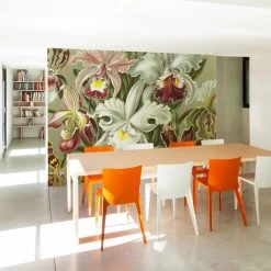 Orchideeën Door Ernst Haeckel NATM00150916 -Trendy Wanddecoratie Wereld naturalis originals orchideeen door ernst haeckel 1