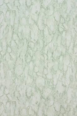 Nina Campbell Kershaw Plain NCW4204-05