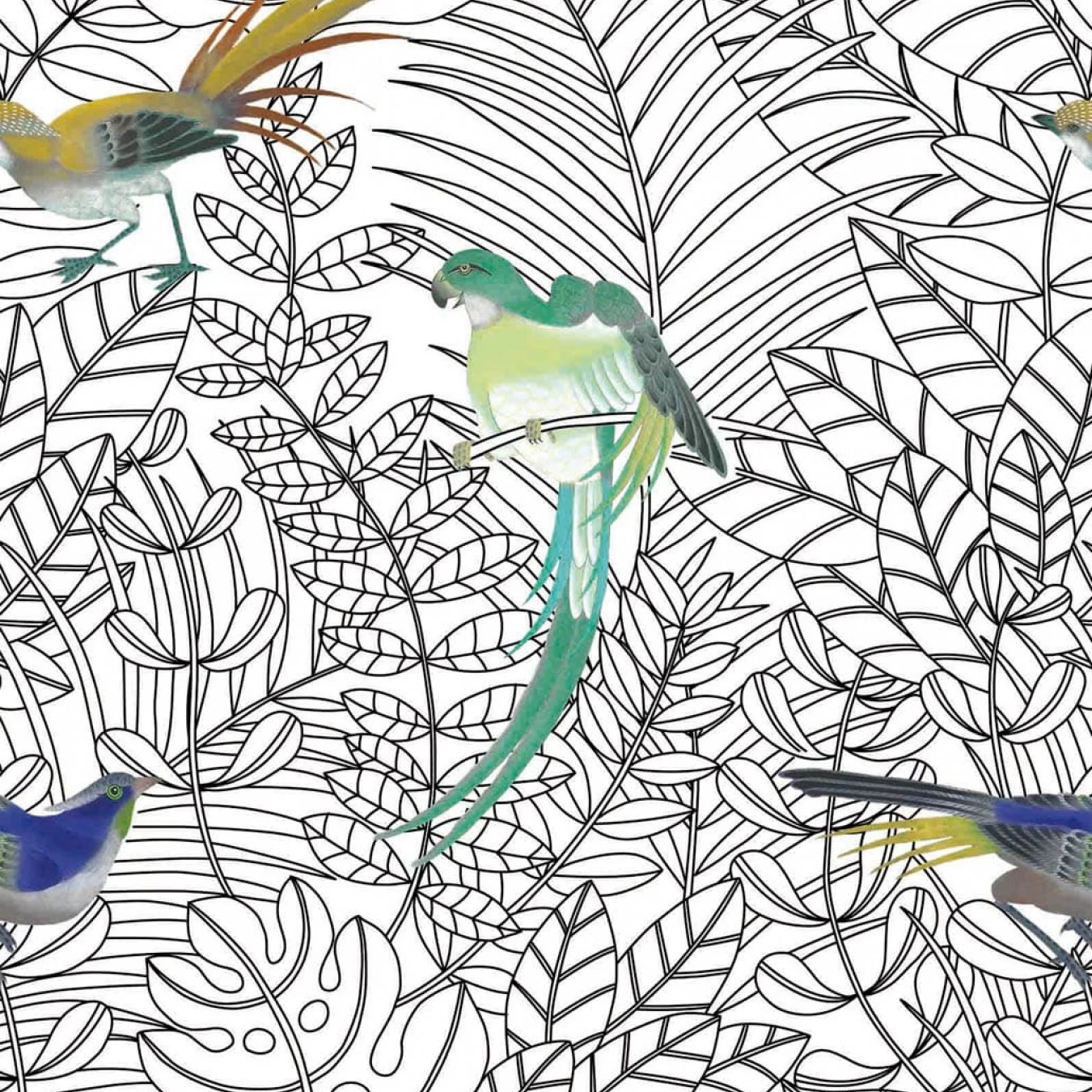 Nobilis Amazone - COS140 3 Nobilis Amazone - COS140