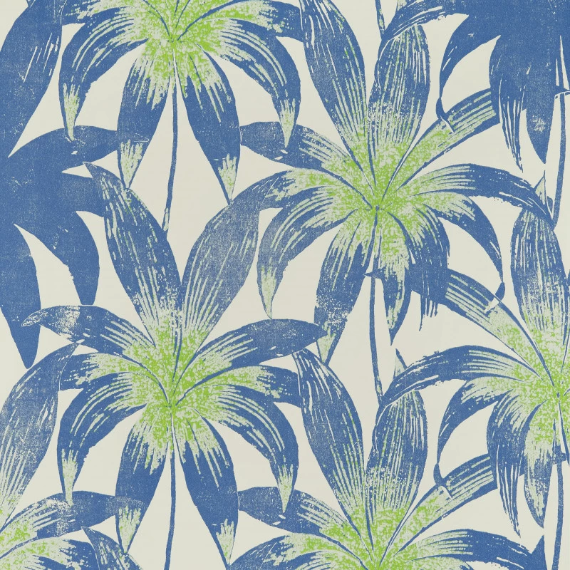 Nobilis Caracas - COS102 3 Nobilis Caracas - COS102