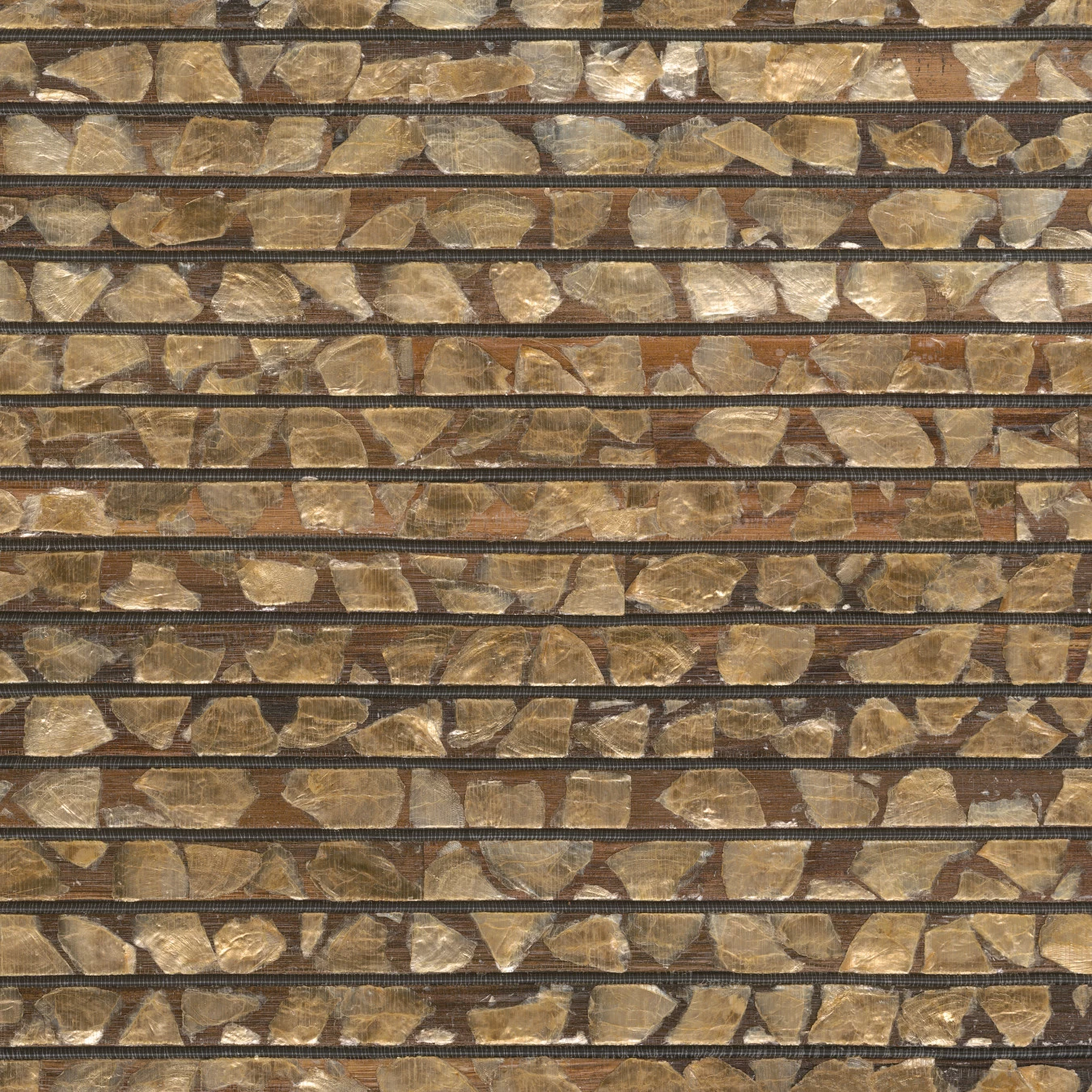 Nobilis Seychelles - ARC11 3 Nobilis Seychelles - ARC11