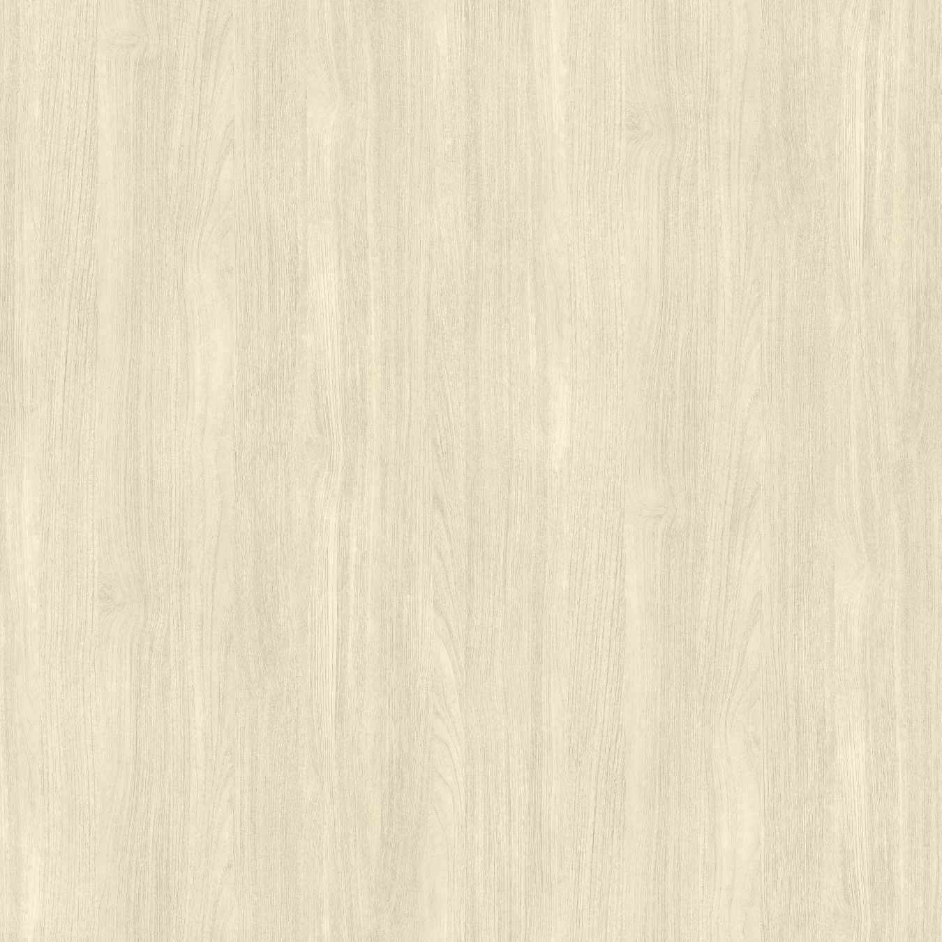 Nobilis White Teak - PBS60 3 Nobilis White Teak - PBS60