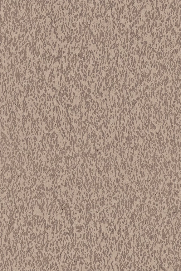 Omexco Motion - CAS31 3 Omexco Motion - CAS31