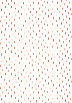 Thibaut Cayo - T13160