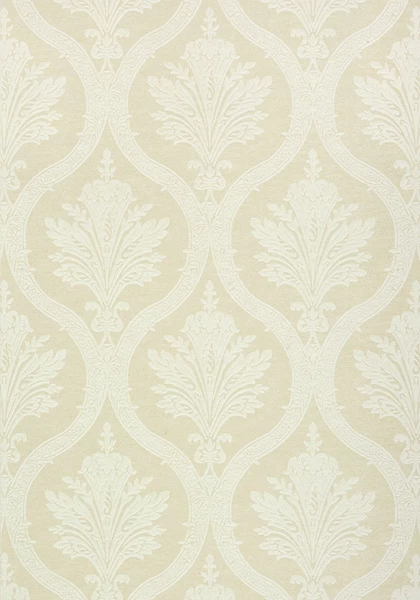 Thibaut Clessidra - T89164 3 Thibaut Clessidra - T89164