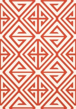 Thibaut Demetrius - T24306