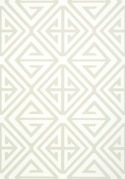 Thibaut Demetrius - T24355