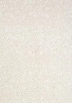 Thibaut Kalynn - T10003