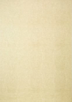 Thibaut Kissimmee - T75092