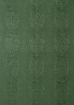 Thibaut Kissimmee - T75101