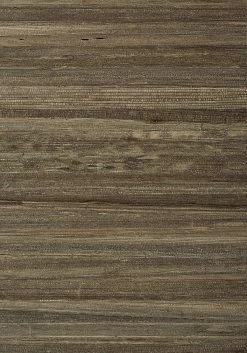 Thibaut La Palma - T24048