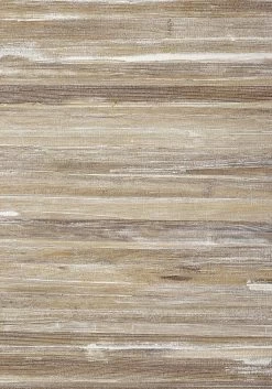 Thibaut La Palma - T24054