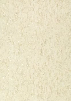 Thibaut Montado Cork - T75106