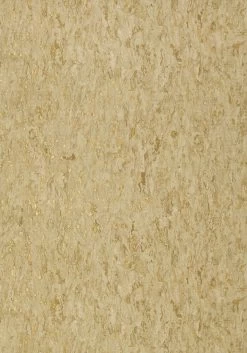 Thibaut Montado Cork - T75109