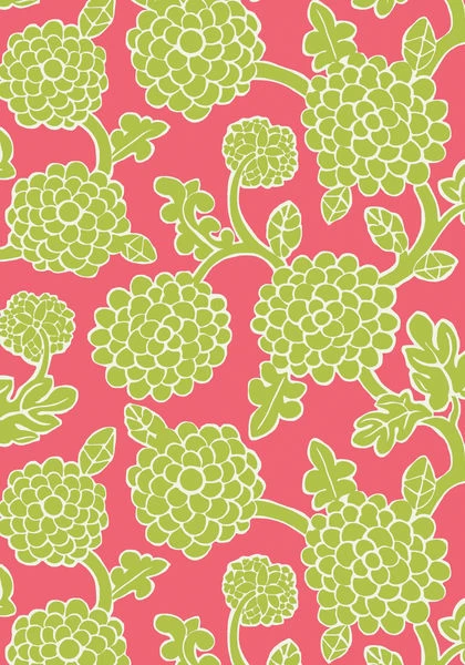 Thibaut Nikko - T16014 3 Thibaut Nikko - T16014