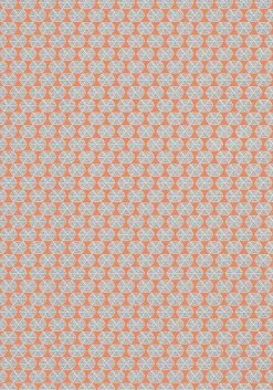 Thibaut Parada - T2935