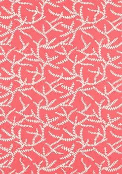 Thibaut Regina - T16074