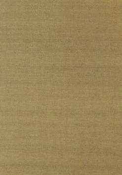 Thibaut Shang Extra Fine Sisal - T41177