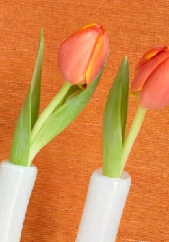 Thibaut Shang Extra Fine Sisal - T5017 -Trendy Wanddecoratie Wereld thibaut thibaut shang extra fine sisal t5017 2