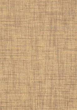 Thibaut Stablewood - T41141