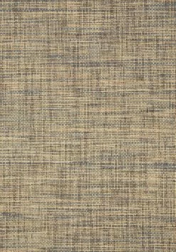 Thibaut Stablewood - T41143