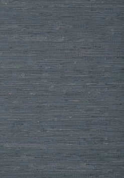 Thibaut Sutton - T24060