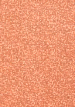 Thibaut Turini Dots - T2967