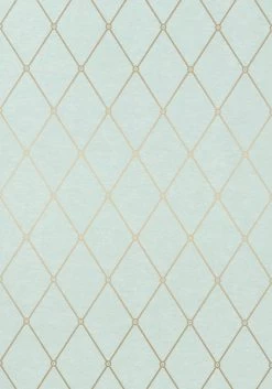 Thibaut Vernon - T4169