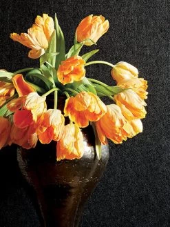 Thibaut Western Leather - T57160 5 Thibaut Western Leather - T57160 -Trendy Wanddecoratie Wereld thibaut thibaut western leather t57160 1