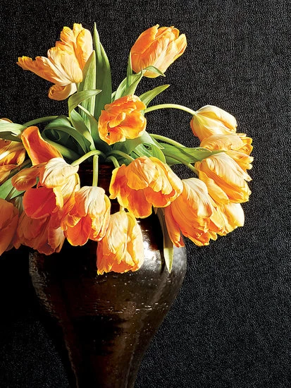 Thibaut Western Leather - T57162 4 Thibaut Western Leather - T57162 - Afbeelding 2