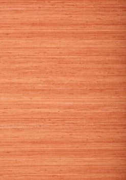 Thibaut Wild Silk - TWW344