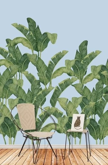 Bananella BA02 4 Bananella BA02 - Afbeelding 2