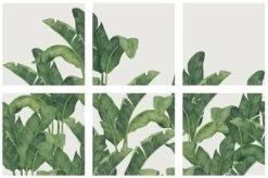 Bananella BA03 7 Bananella BA03 -Trendy Wanddecoratie Wereld tres tintas bananella ba03 2