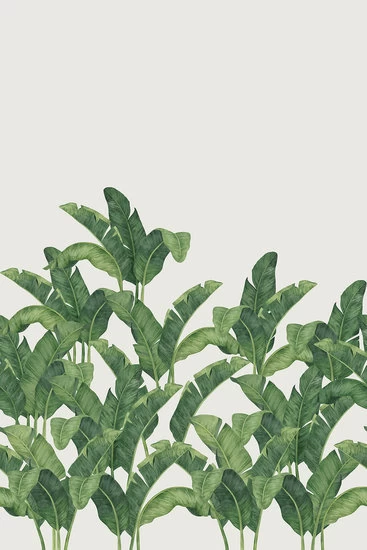 Bananella BA03 3 Bananella BA03